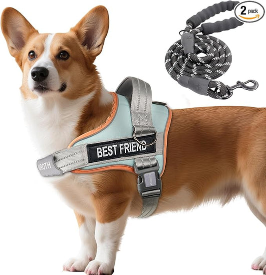 AUROTH Dog Harness and Leash Set Small Sized Dog, No Pull Escape Proof Vest | with Leash Clips, LED light clip, Breathable Mesh Padded No Choke, Easy Walking and Training, Macaron Blue, Small