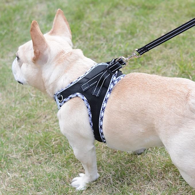 Mercano Soft Mesh Dog Harness and Leash Set, No-Chock Step-in Reflective Breathable Lightweight Easy Walk Vest Harnesses with Safety Buckle for Small Dogs, Cats (Black White, XS)