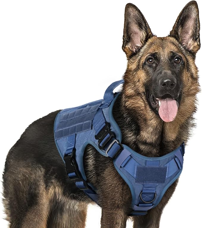 rabbitgoo Tactical Dog Harness for Large, Heavy Duty Military No Pull Vest | Sturdy Metal Buckles, 5 Adjustments, Molle System, Powerful Pullers for Training, Hunting, Outdoor, Blue, Large