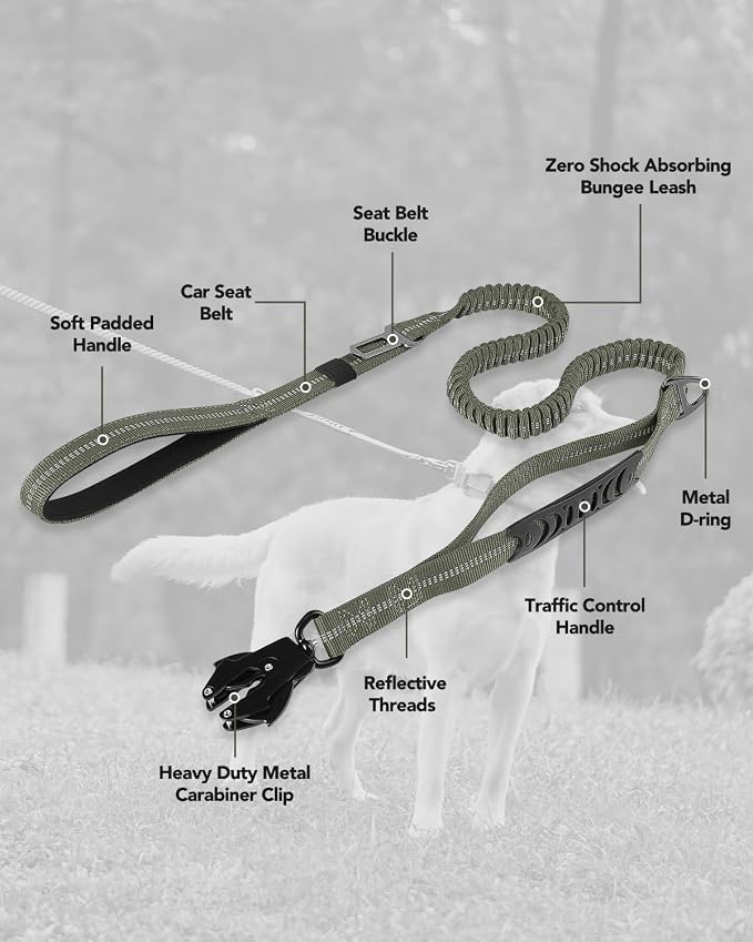 Joytale Tactical Bungee Dog Leash, Shock Absorbing No Pull, Army Green | for Large Dogs That Pull, 2 Padded Handles for Control, Car Seatbelt Clip, Reflective for Night Safety, Metal Frog Clip