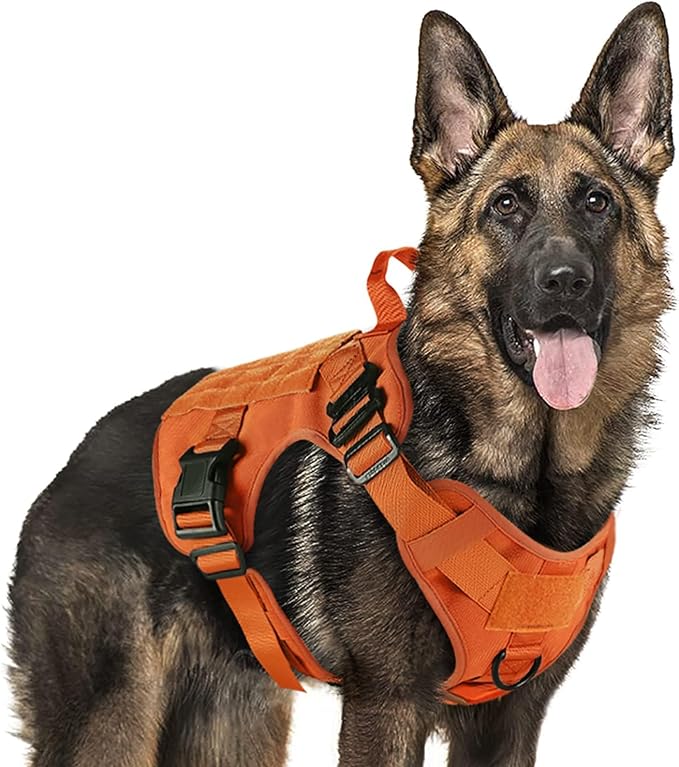 rabbitgoo Tactical Dog Harness for Large, Heavy Duty Military No Pull Vest | Sturdy Metal Buckles, 5 Adjustments, Molle System, Powerful Pullers for Training, Hunting, Outdoor, Orange, Large