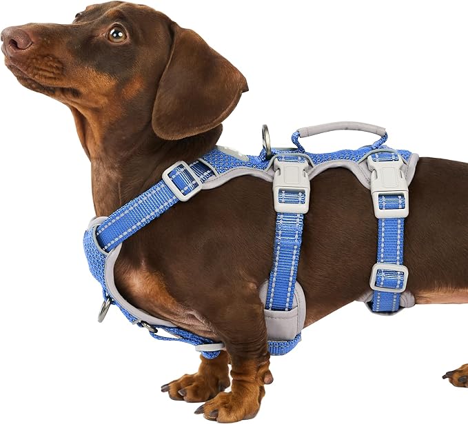 Escape Proof Harness for Dogs, No Escape Dog Harness, No Pull Dog Harness for Small Dogs with Handle, Reflective, Breathable,Durable, Adjustable Vest for Walking,and Running Gear(Vista Blue,S)