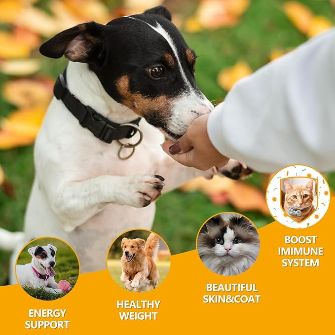 Freeze-Dried Raw Beef Liver Dog Treats, Single Ingredient, High Protein, Grain Free, Gluten Free, Healthy Training Treats & Meal Topper 8.8 oz