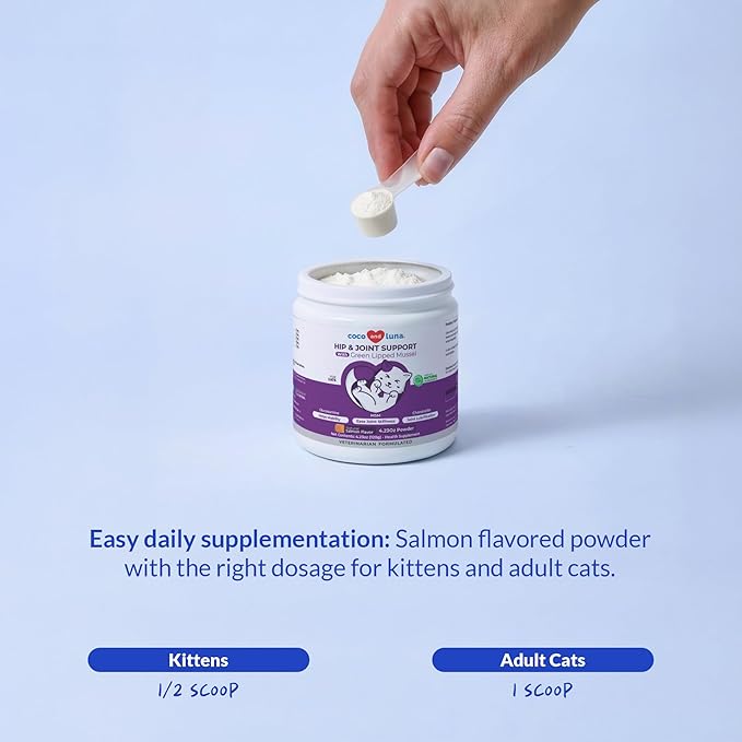 Hip and Joint Supplement for Cats - Glucosamine Powder with Green Lipped Mussel, MSM, Chondroitin, and Vitamin E - 4.23oz/120g