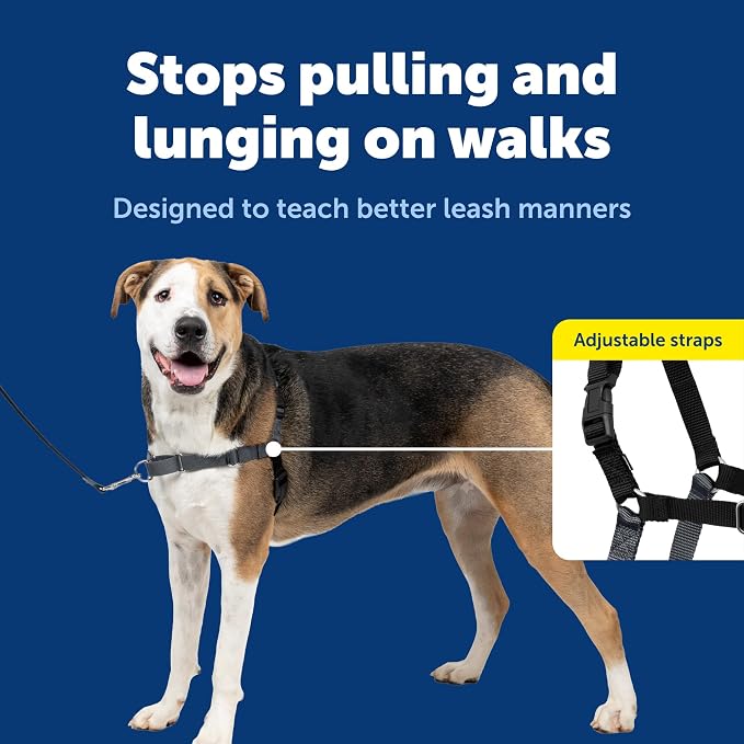 PetSafe Easy Walk Harness, No Pull Dog Harness, Charcoal Gray, Extra Large | Patented Martingale Loop Gives Gradual Shoulder Pressure to Stop Pulling, Front-Chest Leash Clip Prevents Gagging