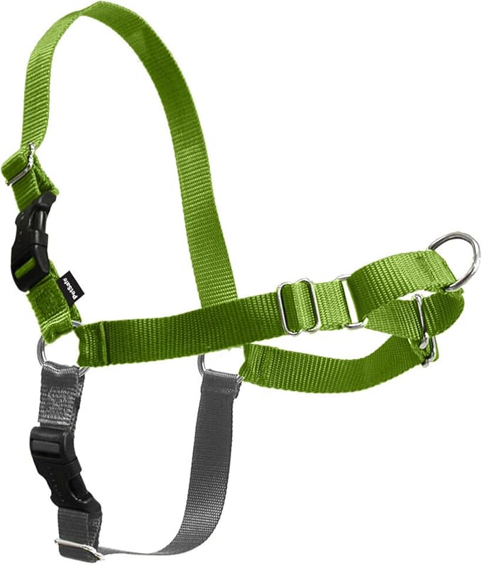 PetSafe Easy Walk Harness for Dogs - Pull-Free Walks - Patented Martingale Loop Design - Front Chest Leash Attachment - Comfort Straps - Breathable Harness Design - Small, Apple Green/Gray | Patented Martingale Loop Gives Gradual Shoulder Pressure to S...