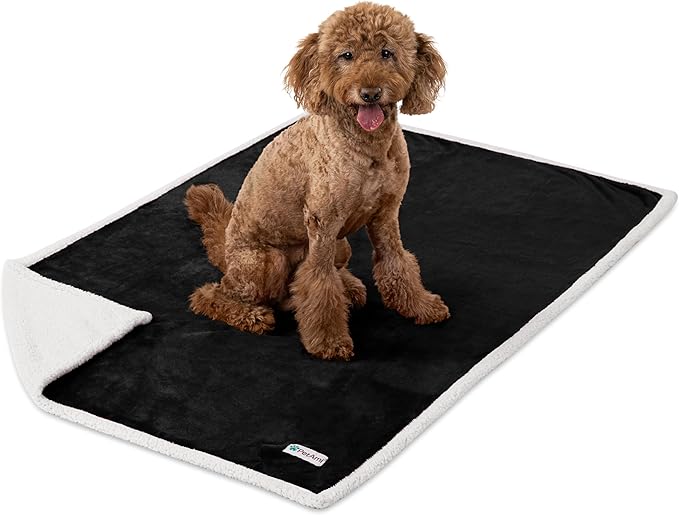 PetAmi Waterproof Dog Blanket for Medium Large Dog Puppy Cat Throw for Couch Cover Leakproof Protection, Sherpa Fleece, Reversible Soft Washable 60x40 Black