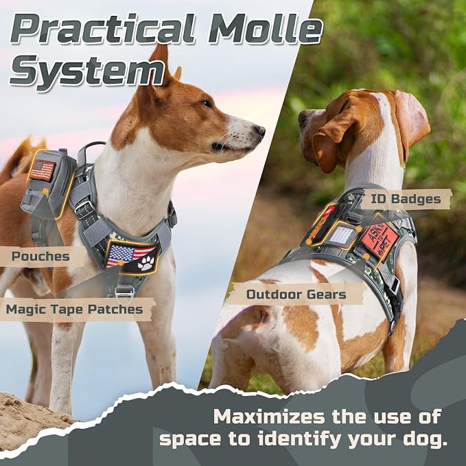 rabbitgoo Tactical Dog Harness for Large, No Pull Military Service Vest | Molle & Handle, Heavy Duty, Adjustable, Reflective Straps, Easy Control for Training Walking, Grey Camo, Large