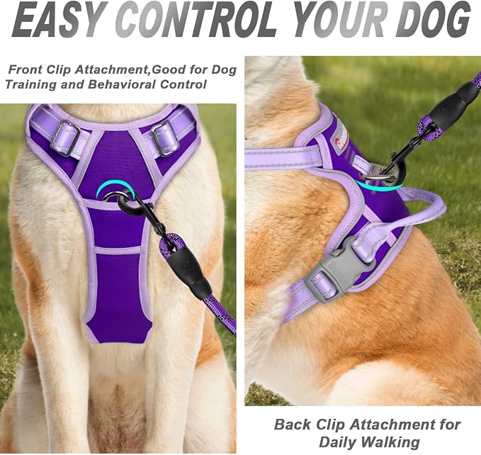 BARKBAY Dog Harness No Pull for Medium Sized Dog Front Back Clips,Dog Vest | Soft Padded No Choke With Handle,Easy On&Off,Adjustable Reflective For Walking Training Running(Violet Purple & Purple,M)
