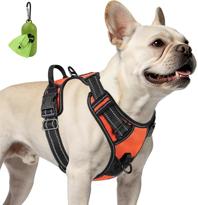 Joytale No Pull Dog Harness for Small Dogs, Front Clip, Orange | Grab Handle for Instant Control, Padded & Adjustable Vest, Sturdy Metal D-Rings, for Safe Training & Daily Walking