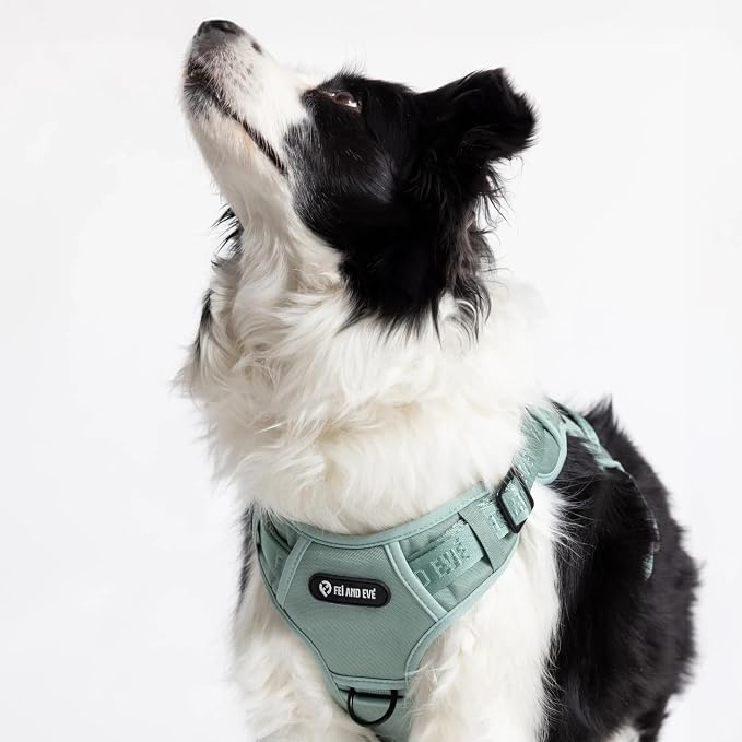 Fei & Eve Classic Dog Harness, MagEase Magnetic Buckle | 3-Point No-Pull Control, Dual Handle Support, 900D Nylon, Tactical Patch Panel, Heavy Duty, Large, Green