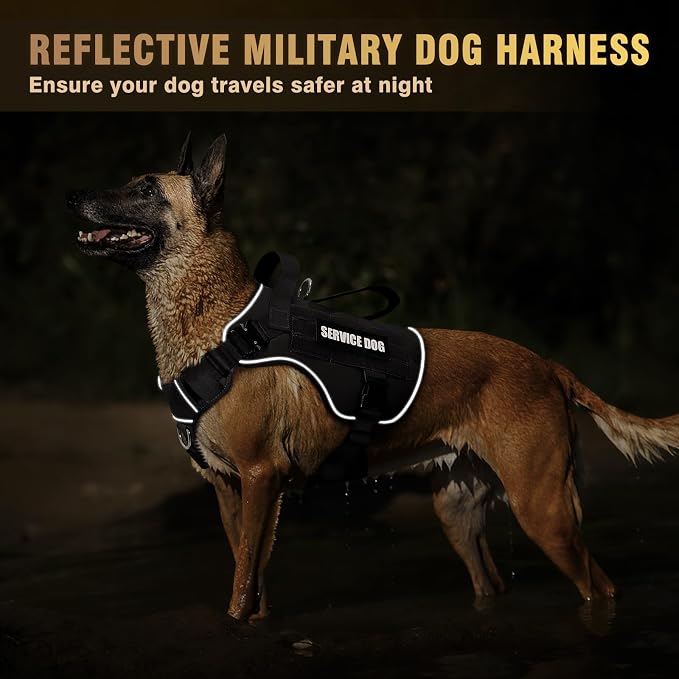 2X Metal Buckle Service Working MOLLE Dog Vest with 10 Pet Patches | Tactical Dog Harness for Large Dog, No-pull Military Working Vest for Training Hunting Walking，2x D Rings for Leash Clip