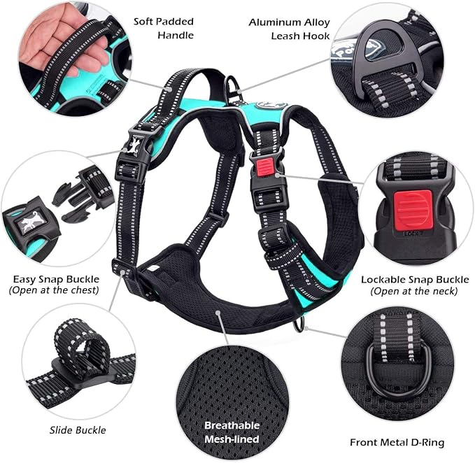 PoyPet No Pull Dog Harness Small with Front Clip & Neck Release Buckle | No Choke, Adjustable Vest, Reflective, Back Clip, Lockable, Soft Padded Handle for Walking Training, S, Mint Blue