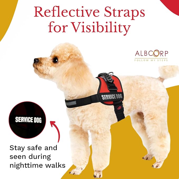 Service Dog Vest Harness – Reflective, No-Pull Harness with Handle & Comfy Mesh Padding – Sizes XXS-XL for Puppies, Small & Large Dogs – 2 Removable Service Patches Included (Small, Red)