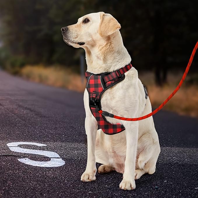 IVY&LANE No Pull Dog Harness with Leash Set, Reflective No Choke Pet Vest,Adjustable Oxford Dog Vest Harness with Easy Control Handle for Large Dogs (Checkered Red,XL)