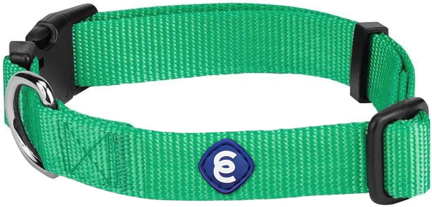 Blueberry Pet Essentials X-Small Dog Collar in Emerald | Adjustable & Eco-Friendly Durable Nylon Strap | Classic Collar for X-Small Dogs, Boy & Girl Pets