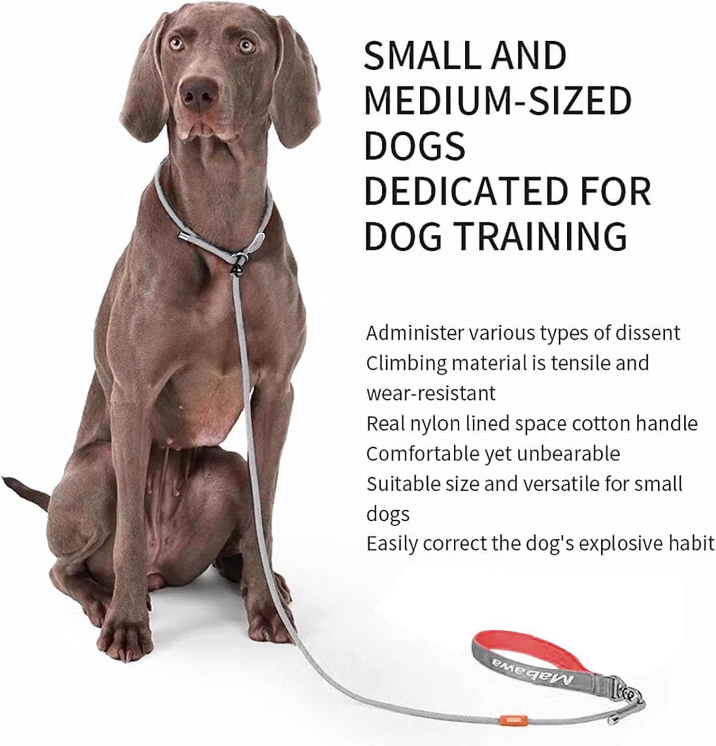 Dog Anti-Slip Leash 5FT with Metal Stopper - Durable No-Pull Training Lead for Small, Medium & Large Dogs - Comfortable Handle Nylon Rope, Tangle-Free Pet Walking Leash (Gray, 5.6FT)