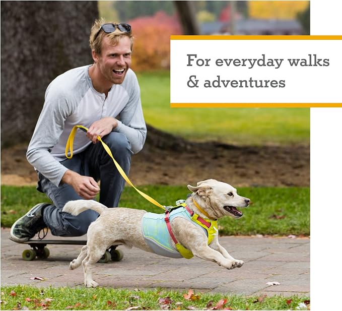 Ruffwear, Hi & Light, Everyday Lightweight Dog Harness, Trail Running, Walking, Hiking, All-Day Wear, Sage Green, Small