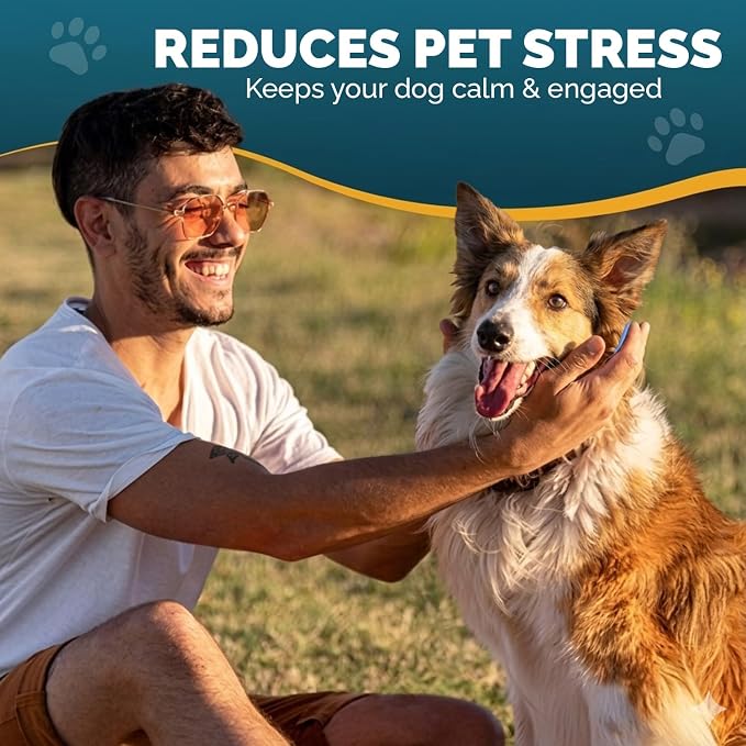 PET ARENA Snuffle Mat Dog Puzzle Toy Adjustable Interactive Feeder | Promotes healthy habits sensory activities, reduces boredom, supports focus, provides engaging playtime indoors or outdoors.