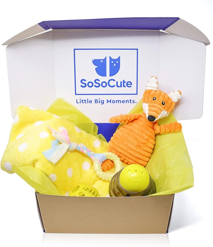 SoSoCute Yellow Dog Gift Box - Puppy Chew Toy Set of 5 - Care Package with Dog Blanket, Squeaky Plush, Rubber Puppy Teether, Teething Ball, and Treat Ball for Small and Medium Dogs
