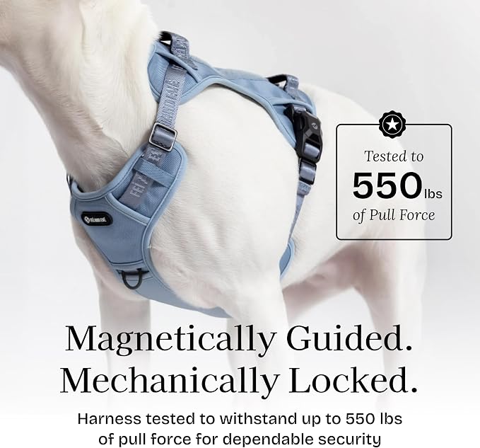 Fei & Eve Classic Dog Harness, MagEase Magnetic Buckle | 3-Point No-Pull Control, Dual Handle Support, 900D Nylon, Tactical Patch Panel, Heavy Duty, Small, Blue