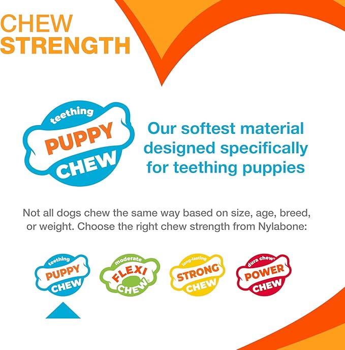 Nylabone New Puppy Starter Kit, Chew Toys & Natural Chew Treat for Puppies, Puppy Enrichment Teething Toys, Pink, Long Lasting Chicken & Bacon Flavor, Small Dogs - Up to 25 Ibs, 3 Pack