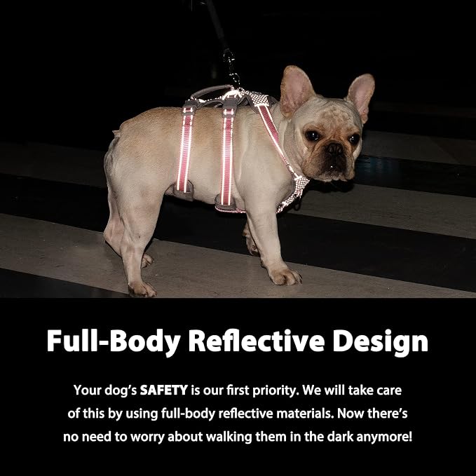 Escape Proof Dog Harness, No Pull Reflective Harness with Lift Handle, Adjustable Pet Vest with Front and Back Leash Clips for Small Medium Large Dogs Walking Hiking Training (Red,XL)