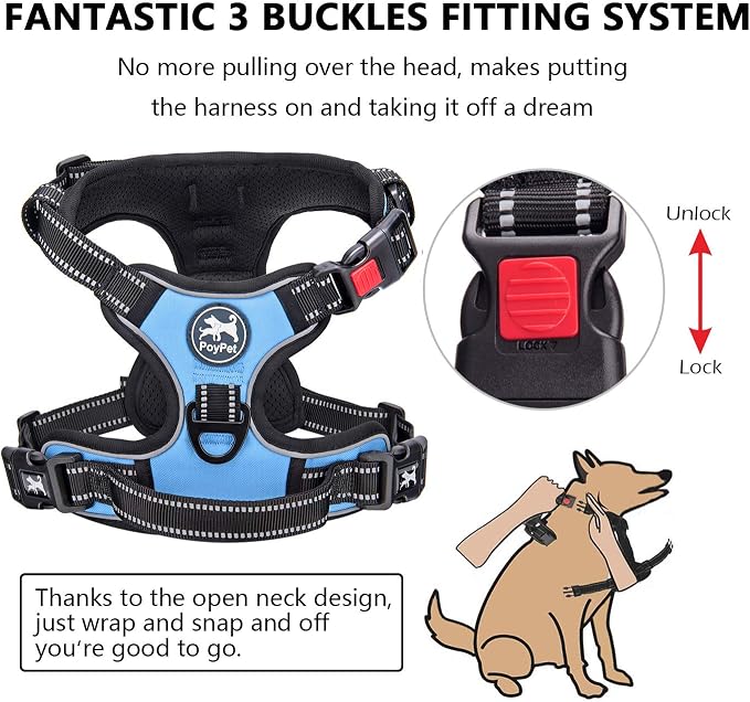 PoyPet No Pull Dog Harness Large with Front Clip & Neck Release Buckle | No Choke, Adjustable Vest, Reflective, Back Clip, Lockable, Soft Padded Handle for Walking Training, L, Light Blue
