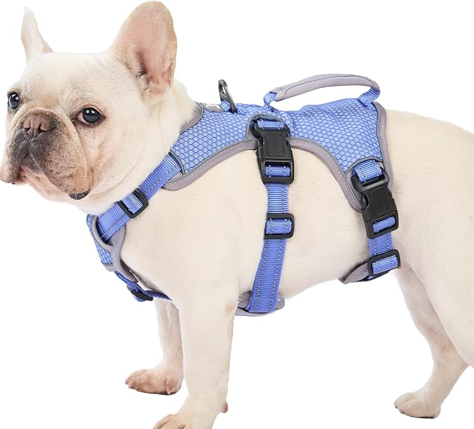 Escape Proof Dog Harness, Dachshund Harness, Reflective Dog Harness with Handle, Durable,Adjustable Vest for Small Medium Large Dogs Walking, Training, and Running Gear (Technicolor Blue,L)