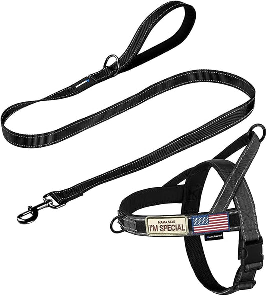 Annchwool No Pull Dog Harness with Padded Handle+5 Ft Leash,Reflective Strip Escape Proof and Quick Fit to Adjust Dog Harness,Easy for Training Walking for Small & Medium and Large Dogs(Black-Set,XL)
