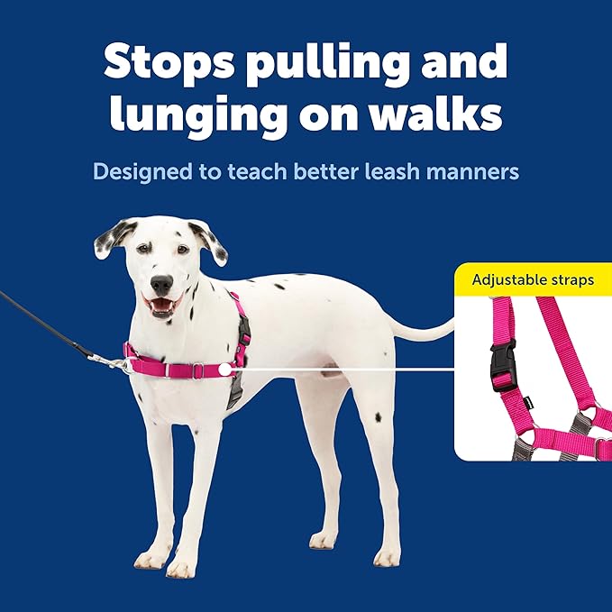 PetSafe Easy Walk Harness, No Pull Dog Harness, Raspberry, Medium/Large | Patented Martingale Loop Gives Gradual Shoulder Pressure to Stop Pulling, Front-Chest Leash Clip Prevents Gagging