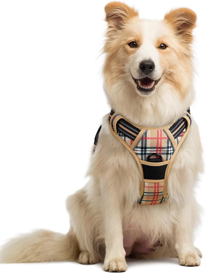rabbitgoo Dog Harness, No Pull Medium Sized with 2 Leash Clips, Pet Vest | No Choke with Handle, Adjustable Soft Padded, Reflective, Easy Control for Walking, Beige Plaid, Medium