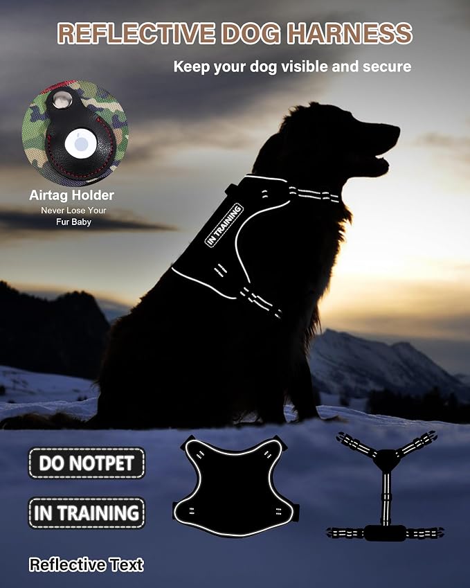 Petnanny Tactical Dog Harness No Pull Service Dog Vest L Purple | Tactical Dog Vest with breathable mesh & hook loop panel, no pull harness for walking training, adjustable fit