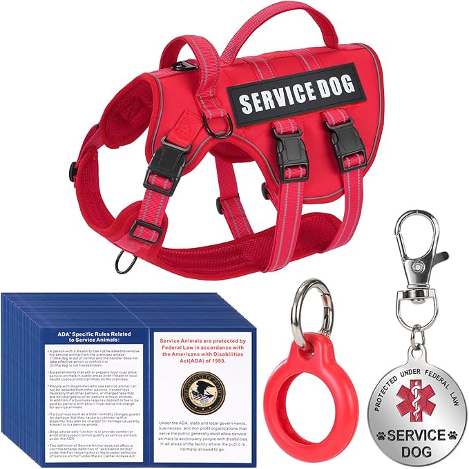 Service Dog Harness + ID Tag 50 ADA Information Cards - No Pull Dog Vest 10 PCS Removable Patches - Reflective Emotional Support Pet Vest for Extra-Large Dogs - Adjustable Breathable ESA Training Vest