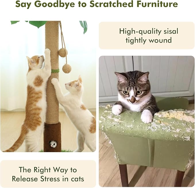 Woochpet Cat Scratching Post for Indoor Cats and Kitten - 35.43" Tall Cat Scratching Post with Sisal Rope,Palm Tree Cat Scratch Post with Hanging Ball