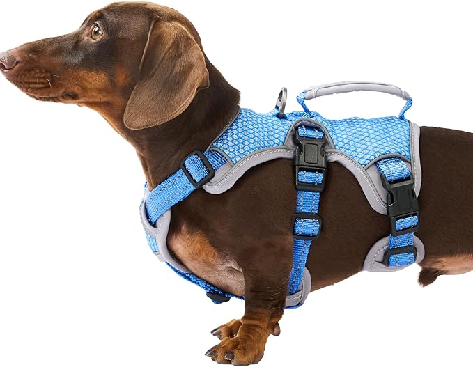 Escape Proof Dog Harness, Dachshund Harness, Reflective Dog Harness with Handle, Durable,Adjustable Vest for Small Medium Large Dogs Walking, Training, and Running Gear (Sea Blue,S)