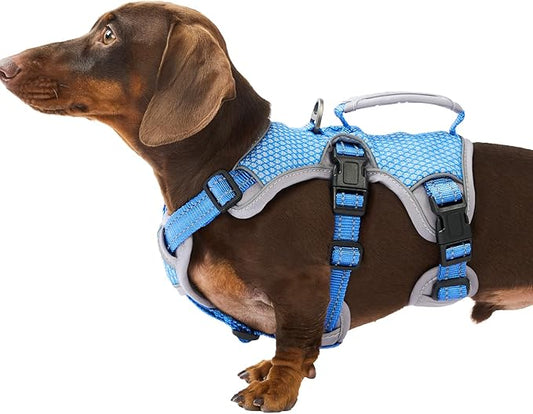 Escape Proof Dog Harness, Dachshund Harness, Reflective Dog Harness with Handle, Durable,Adjustable Vest for Small Medium Large Dogs Walking, Training, and Running Gear (Sea Blue,S)