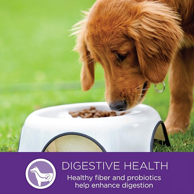 Wellness Natural Pet Food Complete Health Natural Dry Large Breed Puppy Food, Chicken, Salmon & Rice, 30-Pound Bag