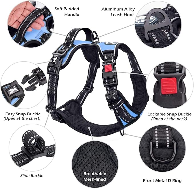 PoyPet No Pull Dog Harness Small with Front Clip & Neck Release Buckle | No Choke, Adjustable Vest, Reflective, Back Clip, Lockable, Soft Padded Handle for Walking Training, S, Light Blue