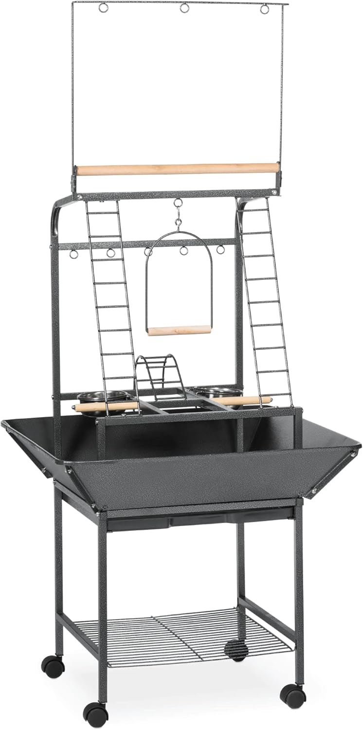 Prevue Pet Products Small Parrot Playstand with Wheels, Bird Stand Activity Play Center with Perches and Ladders, Indoor Outdoor Playground for Birds with Swing, Black Hammertone Finish