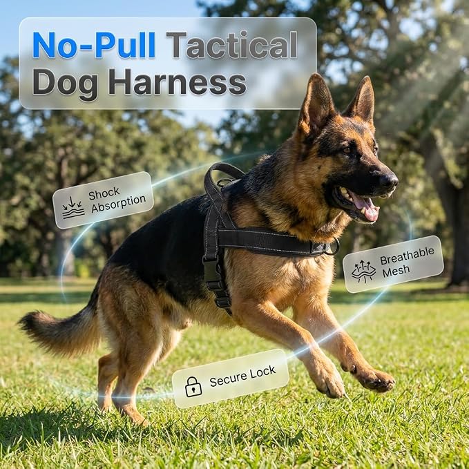 No-Pull Dog Harness with Handle, Adjustable Reflective Pet Vest Tactical Harness for Small Medium Large Dogs Walking Training, Front Clip, Escape Proof & Heavy Duty D-Ring (Black, M)