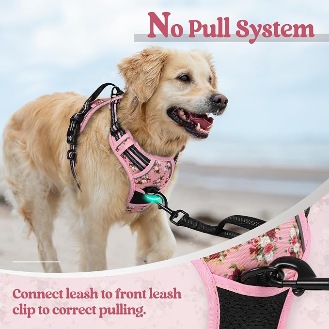 rabbitgoo Dog Harness, No Pull Medium Sized with 2 Leash Clips, Pet Vest | No Choke with Handle, Adjustable Soft Padded, Reflective, Easy Control for Walking, Pink Rose, Medium