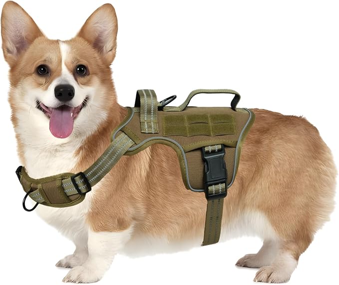 Dog Harness, Tactical No Pull for Small Sized Dog with Handle | Breathable Soft Padded, Adjustable, Reflective, Molle System, Heavy Duty, No Choke for Walking Training, Khaki Small