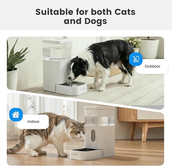 2.9 Gallon Automatic Dog Water Dispenser with Stainless Steel Bowl | BPA-Free, 11L Large Capacity, Stainless Steel Bowl, Maifan Stone Filter, Gravity Auto-Fill, Safe for Cats & Dogs