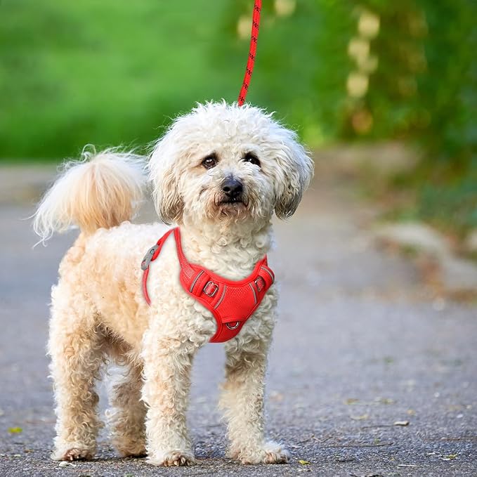 BARKBAY No Pull Dog Harness Large Reflective Dog Harness with Front Clip and Easy Control Handle for Walking Training Running with ID tag Pocket(Red,S)