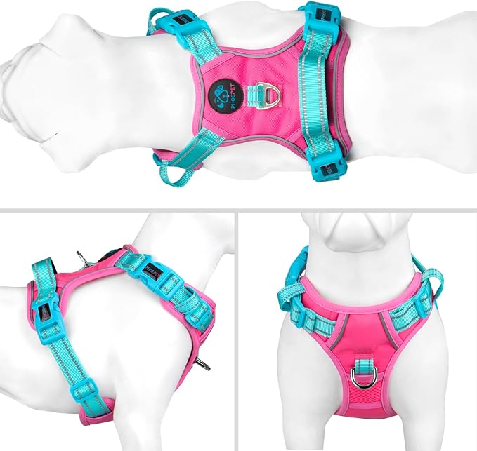 No Pull Dog Harness, Unique Colors Reflective Adjustable Dog Vest, with Soft Training Handle Metal Clips for Small Medium Large Dogs (Pink Base & Green Straps,S)