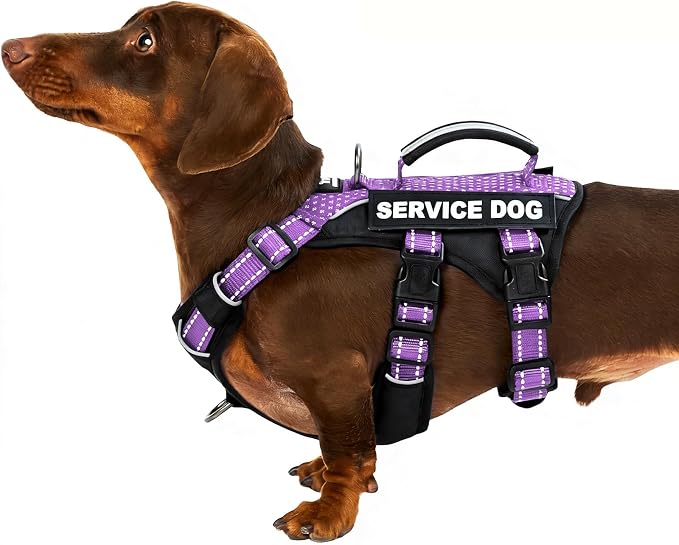 Service Dog Vest Harness, Escape Proof Harness with 6 Patches, No-Pull, Reflective Harness with Handle, Adjustable for Small to Large Dogs, for Training and Hiking (Lavender Purple, S)