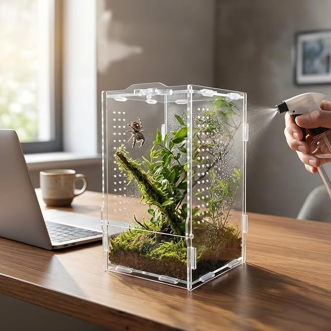 Acrylic Jumping Spider Enclosure: Arboreal Tarantula Enclosure | Front Opening Reptile Terrarium for Gecko Praying Mantis Snail - Lockable Dual-Side Ventilation Bug Habitat for Desk Decor