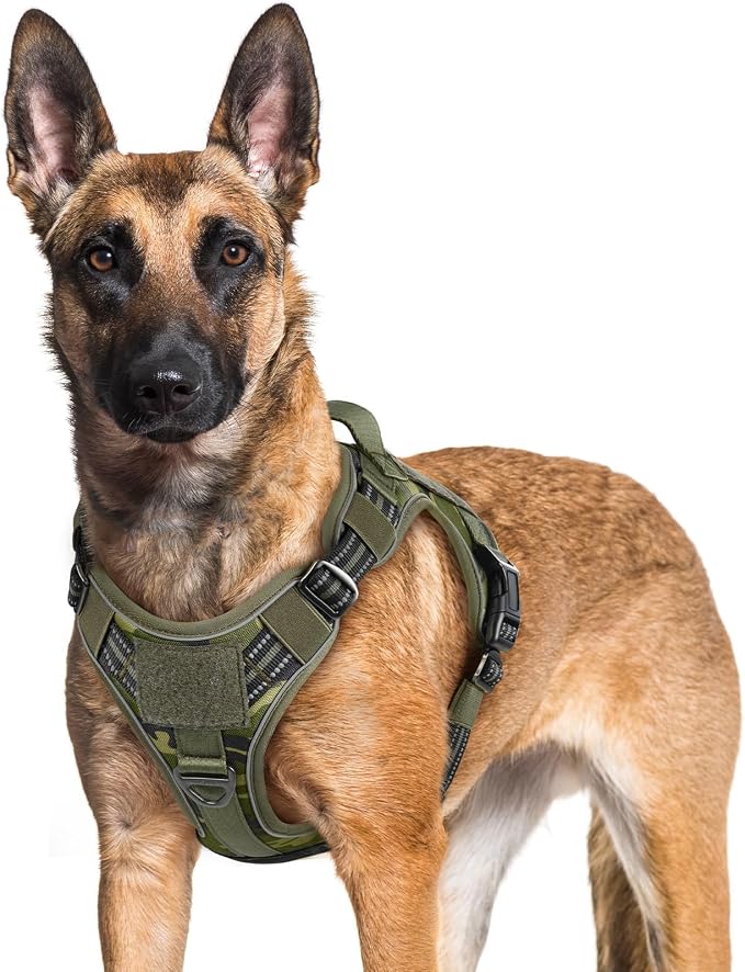 rabbitgoo Tactical Dog Harness for Large Dogs, No Pull Service Pet Vest | Military Molle System & Easy Control Handle, Adjustable and Reflective for Walking and Training, Green Camo, X-Large