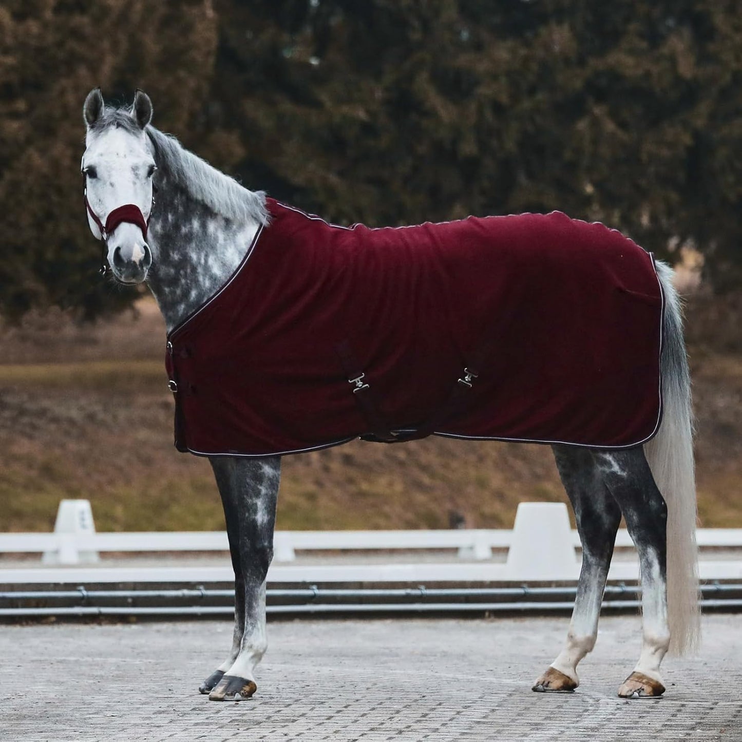 HORZE Kiel Adjustable Horse Halter with Fleece Padding - Dark Red - Pony